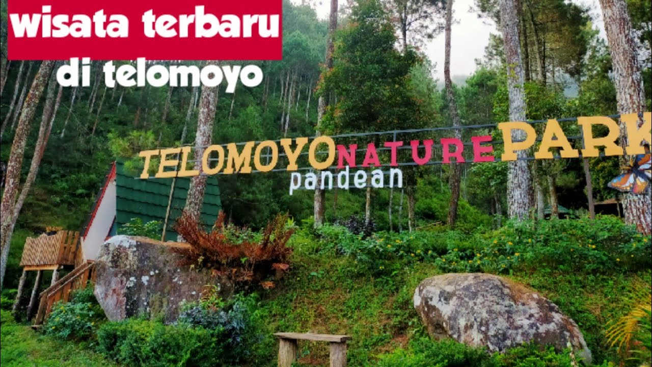 Telomoyo Nature Park: Surga Alam di Lereng Gunung Merapi